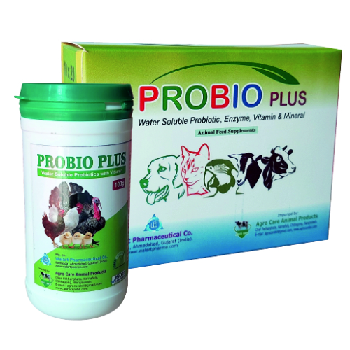 Probio Plus